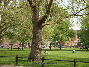 Learn to drive in Parsons Green